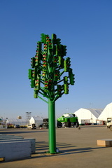 DSCF1552.JPG