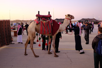 DSCF1578.JPG
