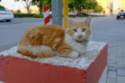 DSCF1922.JPG
