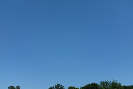 DSCF2395.JPG