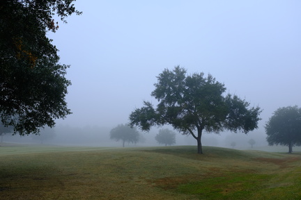 DSCF2424.JPG
