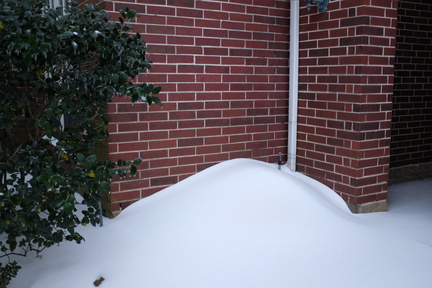 DSCF2499.JPG